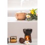 Pudra Kokulu Buhurdanlık Aroma Esansı Difizör Kokusu 30 ml.