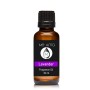 Lavanta Kokulu Buhurdanlık Aroma Esansı Difizör Kokusu 30 ml.