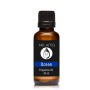 Okyanus Kokulu Buhurdanlık Aroma Esansı Difizör Kokusu 30 ml.